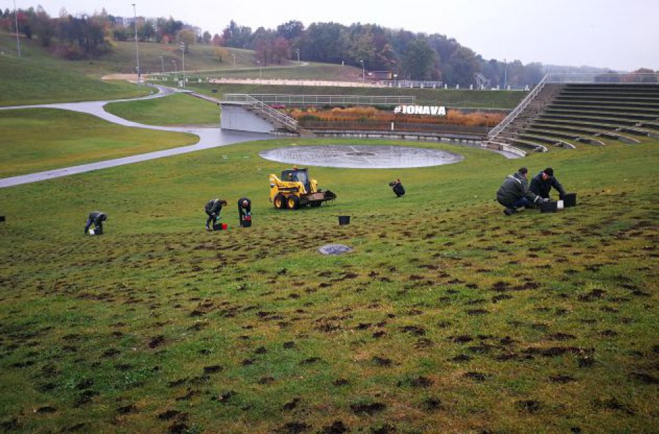 Į krokus nusitaikiusios ,,vagilės" padarė nuostolių, tačiau Jonava neliks be pavasarinių žiedų 
