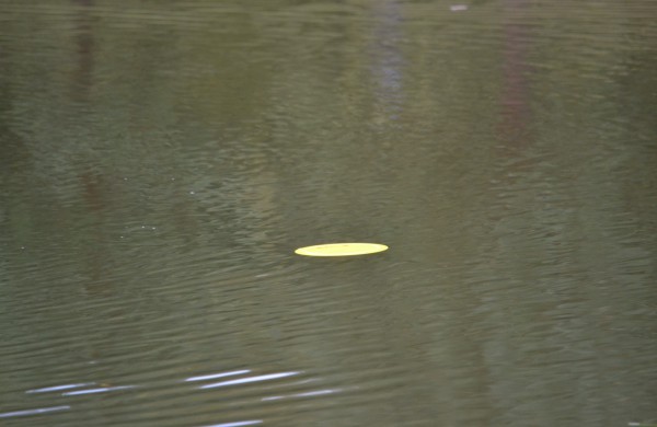 Atnaujintame diskgolfo parke – keturios dešimtys varžybų dalyvių