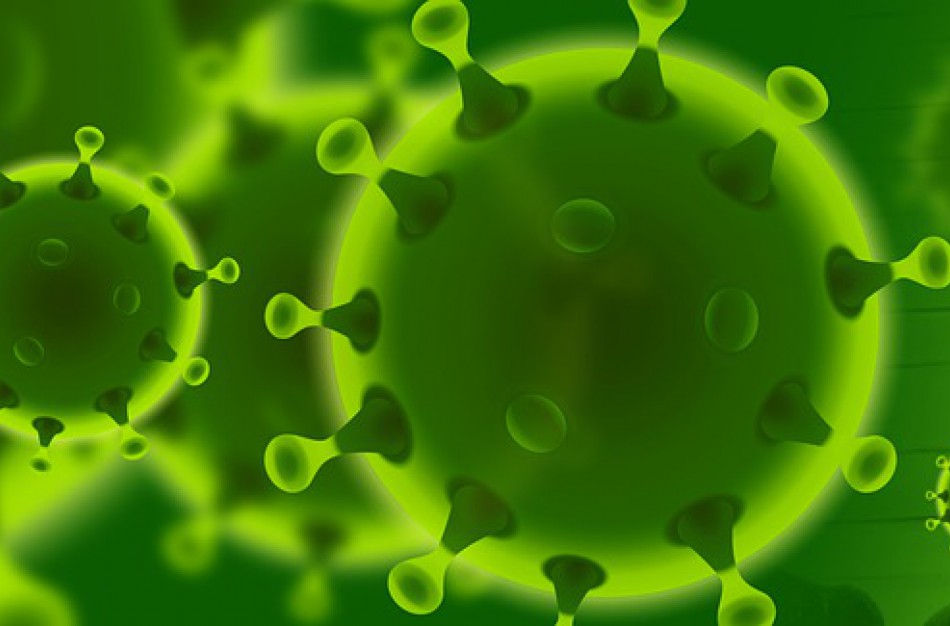 Patvirtinti dar du koronaviruso susirgimo atvejai Lietuvoje