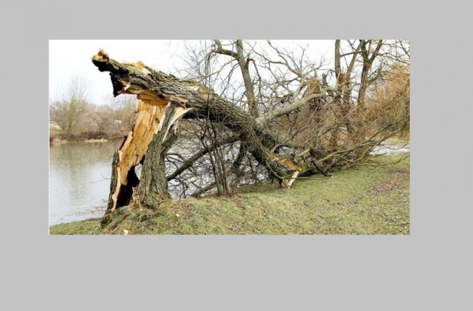 Artėja audra - kuo reikėtų pasirūpinti 