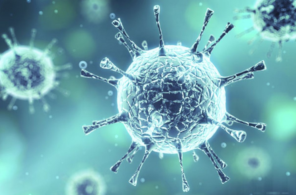 Lietuva „užsidaro“: stabdomas ugdymo procesas, atšaukiami beveik visi renginiai