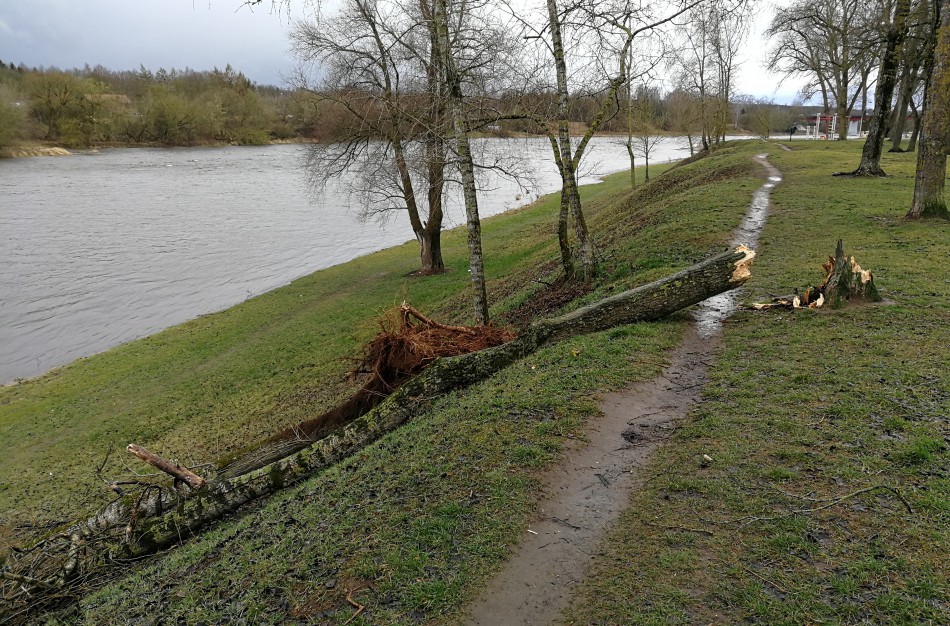 Vėtros padariniai vis dar tvarkomi
