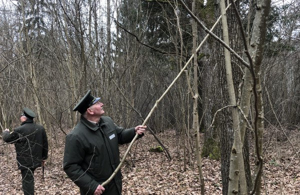 Miškininkai iškėlė inkilus grįžtantiems paukščiams