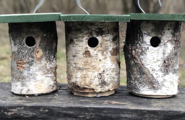 Miškininkai iškėlė inkilus grįžtantiems paukščiams