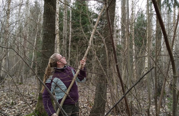 Miškininkai iškėlė inkilus grįžtantiems paukščiams