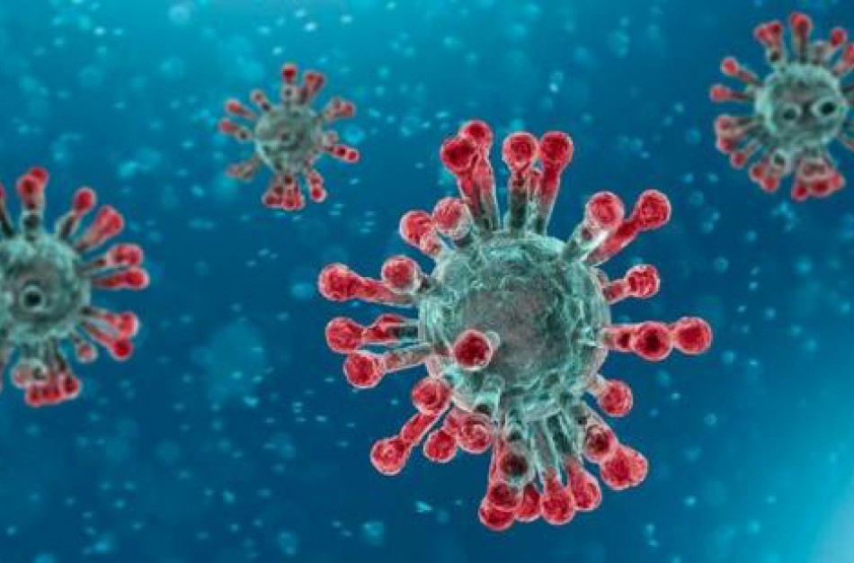 Rekomendacijos verslui – sekite naujienas VMVT interneto svetainėje