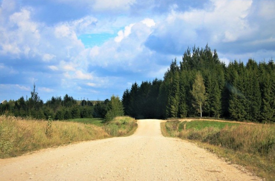 Leista keliams panaudoti 142 mln. eurų „įšaldytų“ lėšų – pinigai skiriami ir Jonavai