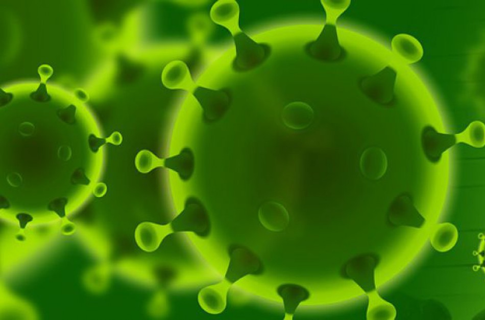 Sekmadienio vakarą nustatyta 14 naujų atvejų - viso jau 143