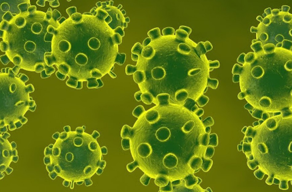 Šiandien nustatyta dar 16 koronavirusinės infekcijos atvejų