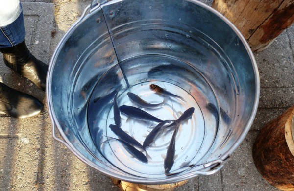 Šiuolaikinio meno forumo kūrėjai pakvietė į kelionę laiku