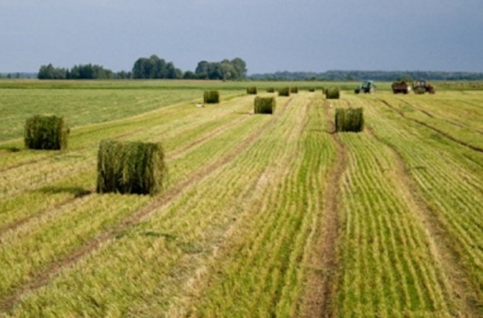 Ministras su merais tarėsi, kaip turėtų keistis pasėlių deklaravimo organizaciniai darbai
