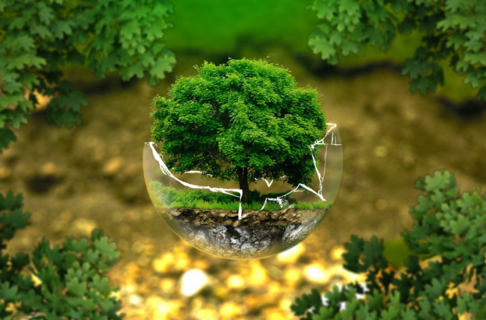 Karantino laikotarpiu aplinkosaugininkams padeda ir gyventojai