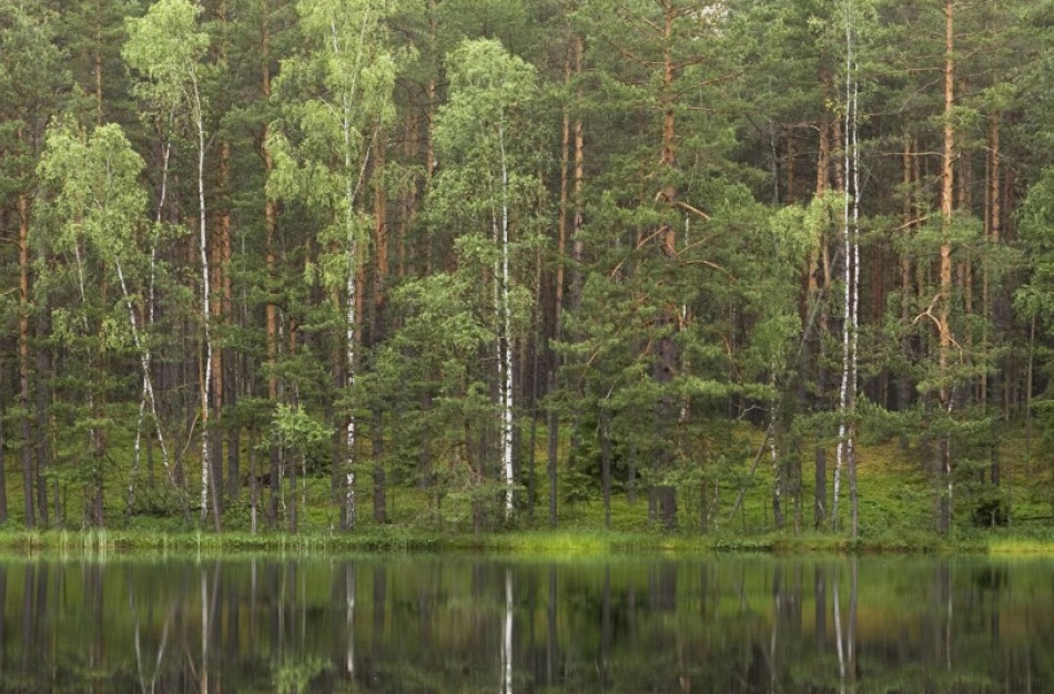 Medžioklės ir žvejybos taisyklių pažeidėjų laukia sunkesni laikai