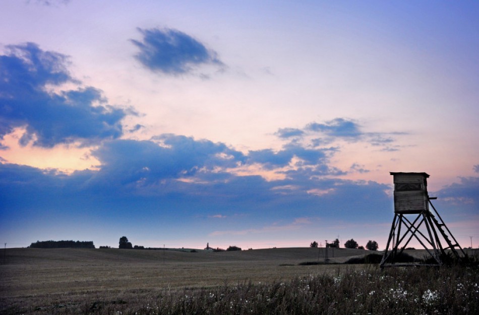 Medžioklė karantino sąlygomis – tik laikantis visų jo režimo reikalavimų