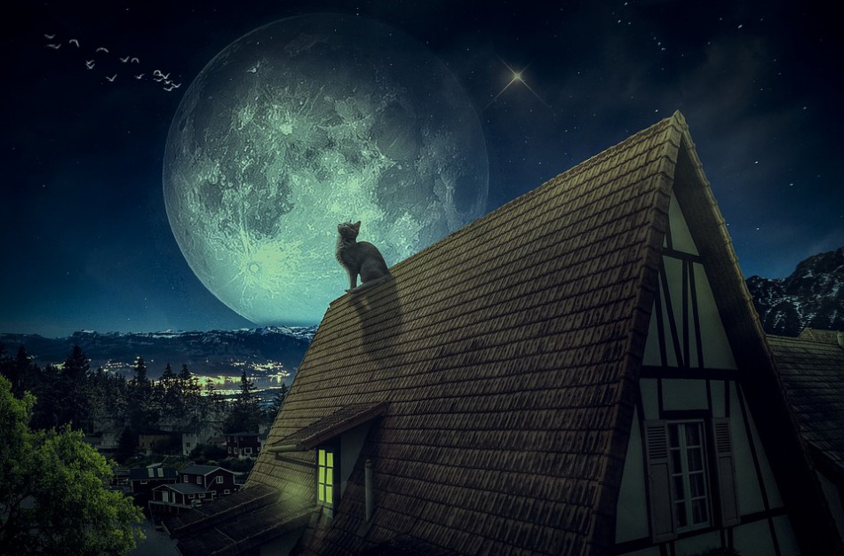 A. Aleksandravičienė: „Katiniška istorija“