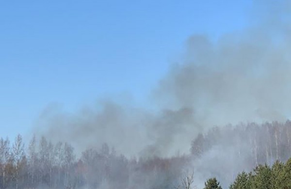 Deginti žolę itin pavojinga bei gresia rimti nemalonumai