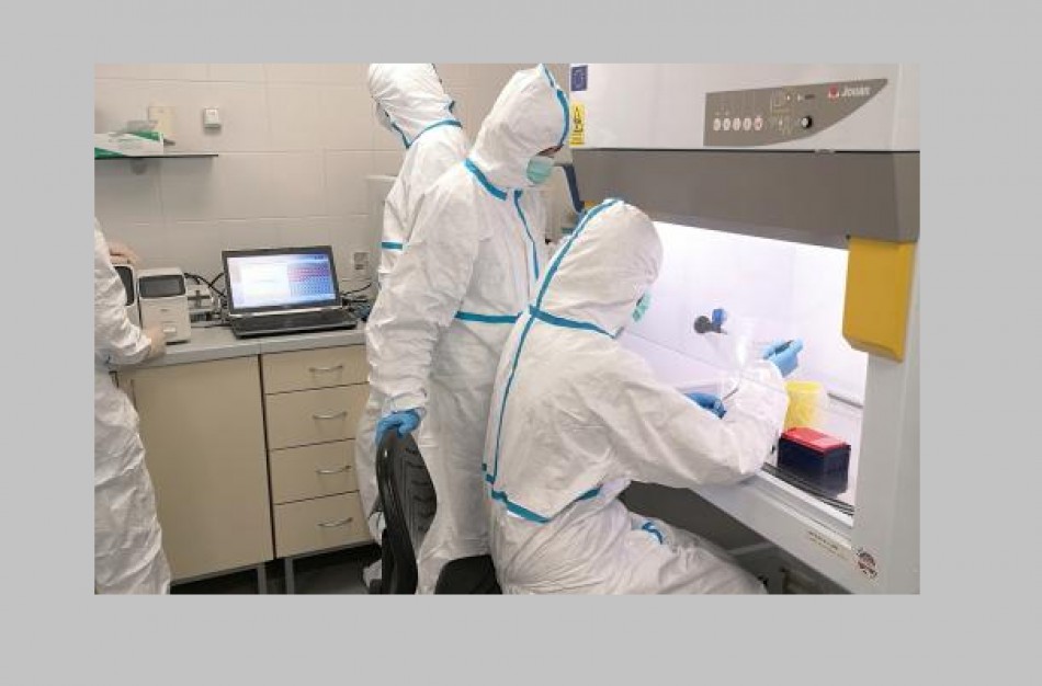 NMVRVI laboratorijoje per parą ištiriama per 500 mėginių dėl COVID-19