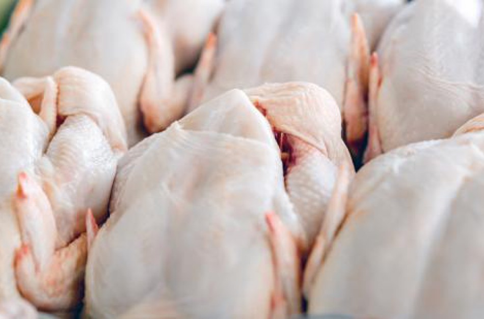 Kontrolės duomenys rodo – lietuviška paukštiena išsiskiria ir savo kokybe, ir sauga