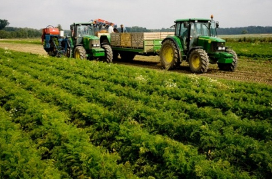 Žemės ūkio ministerija karantino metu neleis lenkų ūkininkams atvykti į Lietuvą dirbti ūkio darbų