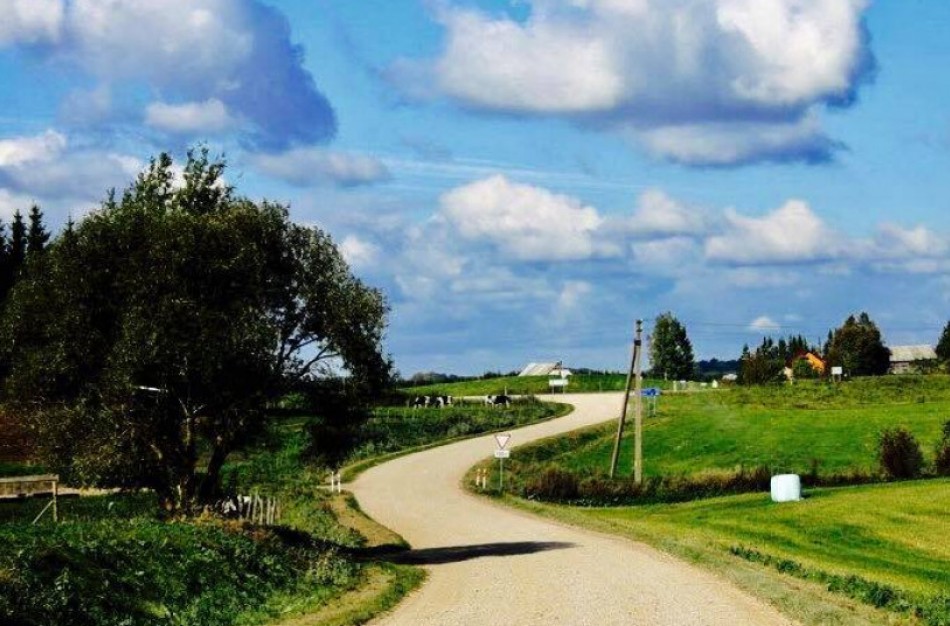 Jaroslavas Narkevičius: savivaldybių žvyrkeliams paskirstyti 20 mln. eurų leis išasfaltuoti per 250 kelių ir gatvių