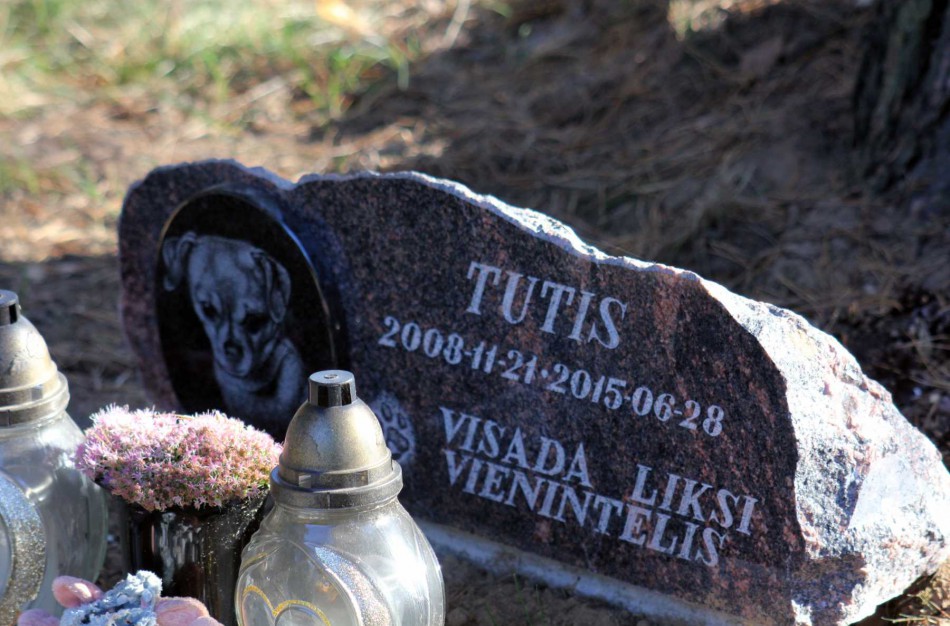 Gyvūnų kapinėse jau statomi ir paminklai