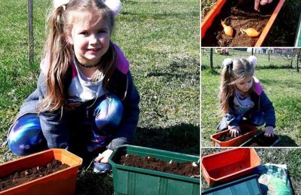 Ikimokyklinio nuotolinio ugdymo baimė virtusi puikiais rezultatais