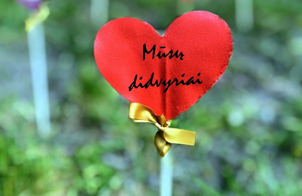 Jonavos rajono neįgaliųjų veiklos centro padėka medikams