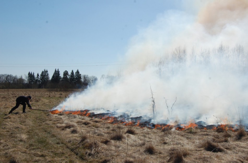 Pareigūnai vykdys prevencinius reidus