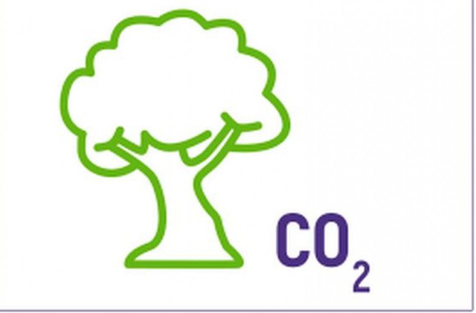 Mobili vaikščiojimo programėlė skatina auginti virtualius medžius