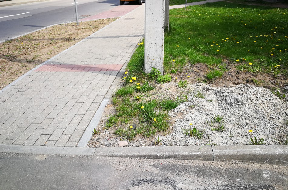 Skaitytoja: Darbus atliko pernai, o teritorija iki šiol išdarkyta