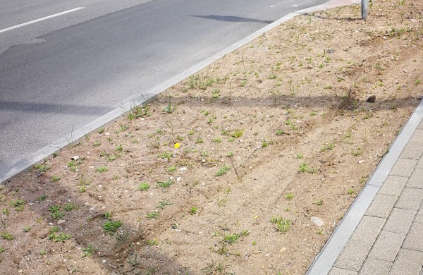 Skaitytoja: Darbus atliko pernai, o teritorija iki šiol išdarkyta