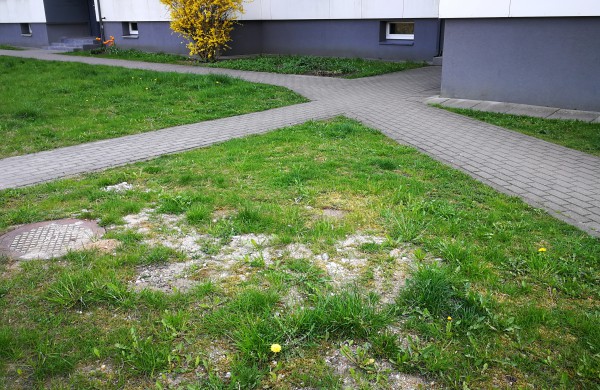 Skaitytoja: Darbus atliko pernai, o teritorija iki šiol išdarkyta