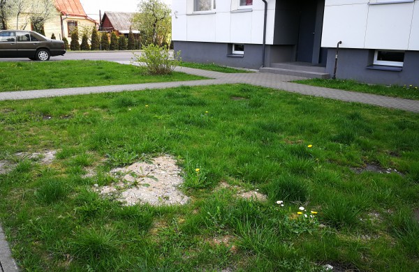 Skaitytoja: Darbus atliko pernai, o teritorija iki šiol išdarkyta