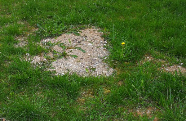 Skaitytoja: Darbus atliko pernai, o teritorija iki šiol išdarkyta