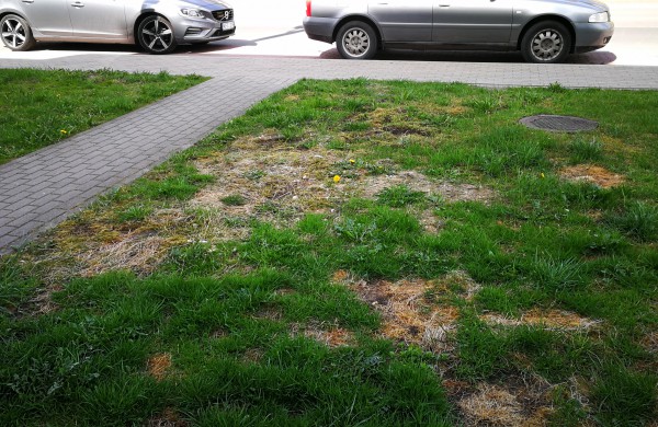 Skaitytoja: Darbus atliko pernai, o teritorija iki šiol išdarkyta