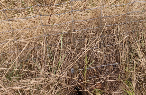 Jonavos r. vagiami metaliniai stulpai – šiemet pavogtas jau 351 stulpas