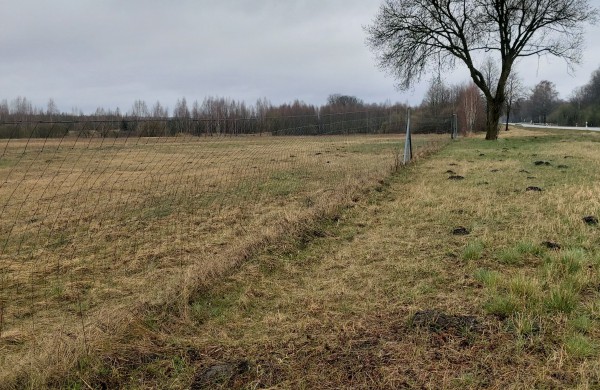 Jonavos r. vagiami metaliniai stulpai – šiemet pavogtas jau 351 stulpas