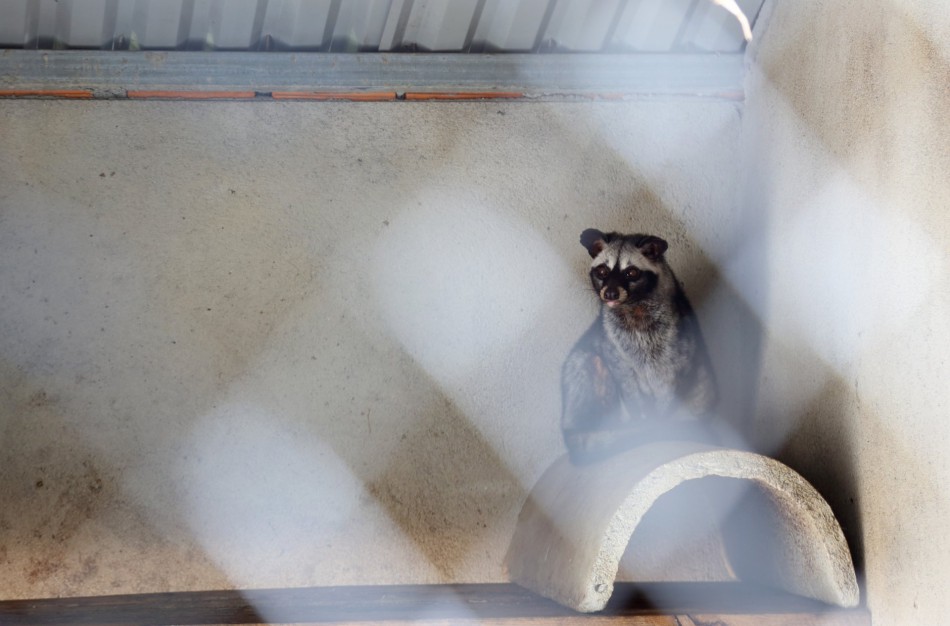 Nustatytos korupcijos rizikos gyvūnų gerovės užtikrinime