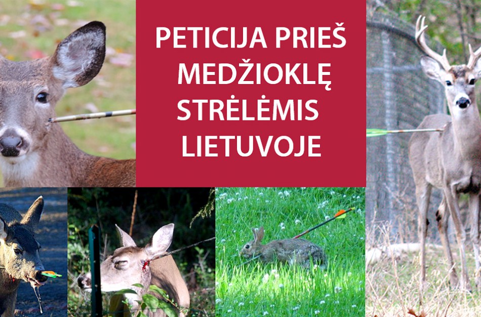 Nevyriausybinės aplinkosaugos organizacijos ragina atleisti aplinkos ministrą