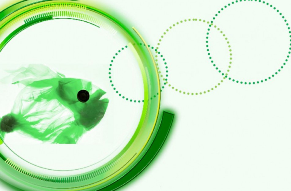 Į kovą su plastiko atliekomis – ir nuotraukomis