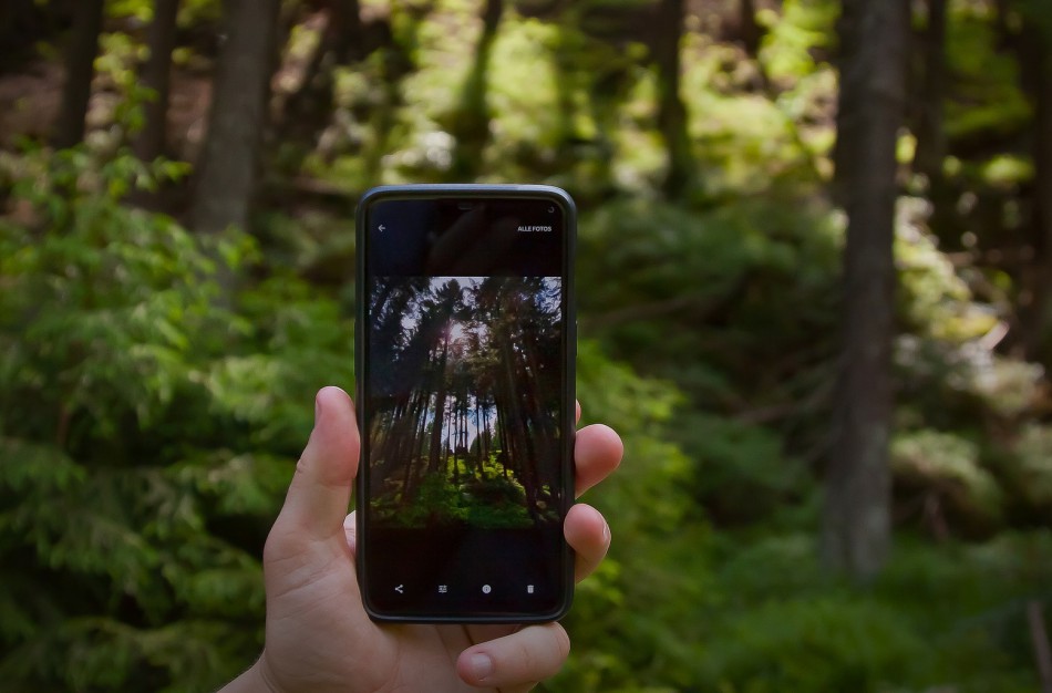 Pristatomas naujas įtraukiantis žaidimas gamtos bičiuliams – „Surask juos visus“!