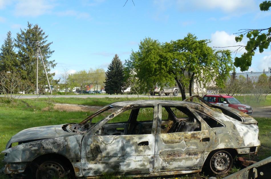 Gulbiniškių kaimo miške degė automobilis
