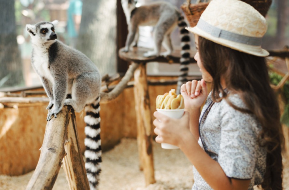 Švelnėja reikalavimai atvirose erdvėse įsikūrusiems lankytojų traukos objektams