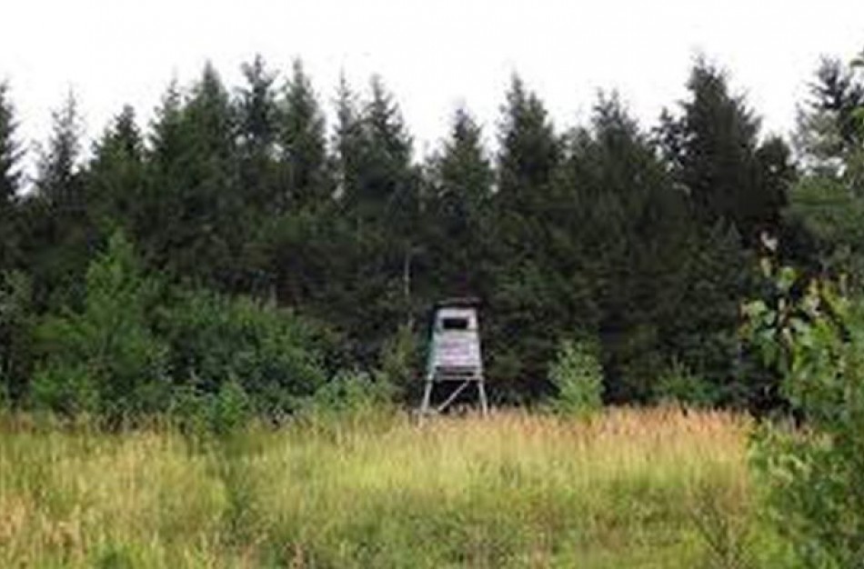 Bus atkurti medžioklės taisyklių reikalavimai