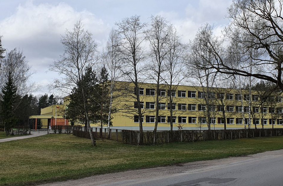 Kaip nuotolinis mokymas sekasi iš užsienio atvykusiems vaikams?