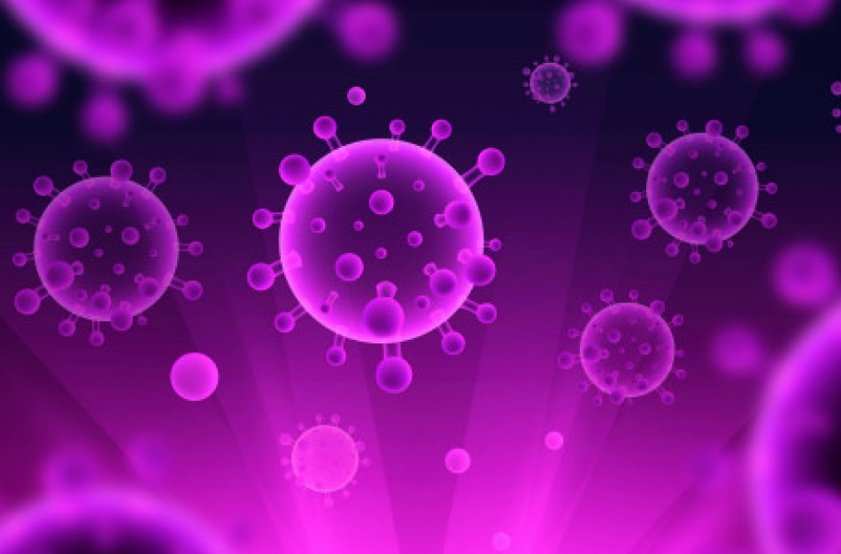 Lietuvoje patvirtinta 1639 infekcijos atvejų, naujų - 4, mirusių - 65, pasveikusių - 1165