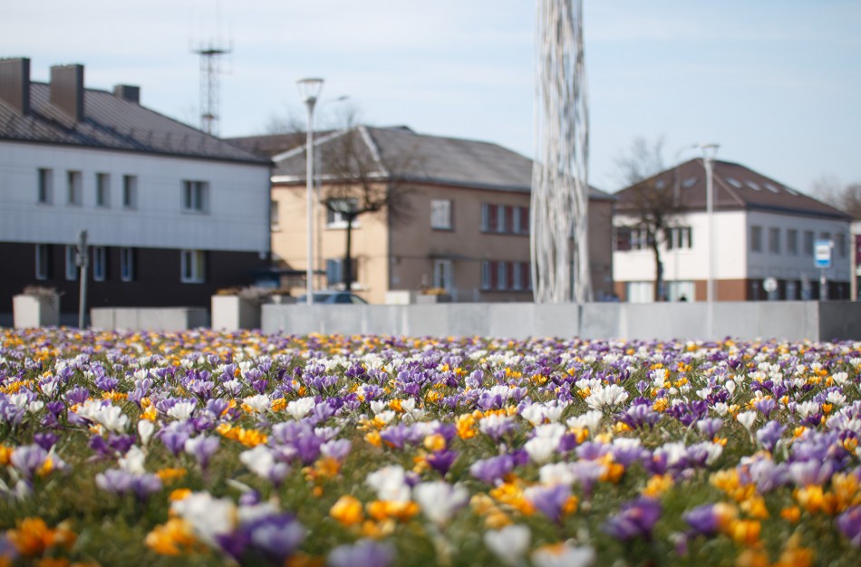 Taryba pritarė mero ir direktoriaus veiklos ataskaitoms, gyventojams - specialus leidinys