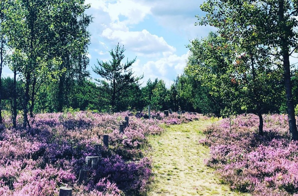 Jonavietė: pasigedau poilsio aikštelių miške - ar rajone yra gražių poilsiaviečių?   