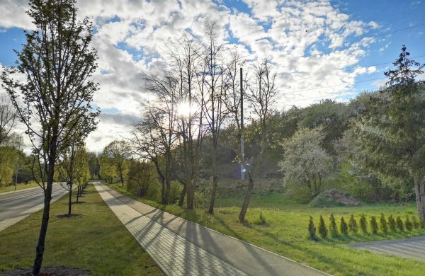 Pasaulines dviračio ir bėgimo dienas minint: iš naujo atraskite Jonavos dviračių takus