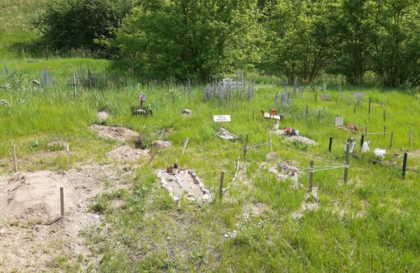 Įtariama, kad gyvas šuo atvežtas į gyvūnų kapines, pririštas ir paliktas numirti